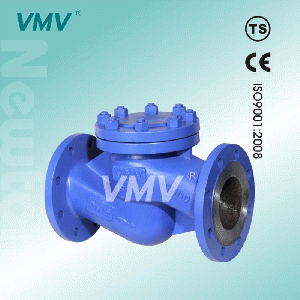 Din Standard Check Valve