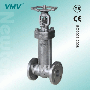 Forged Steel Bellows Seal Gate Valve